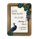 Search for peacock rectangular magnets Gold
