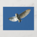 Search for in flight postcards Flying