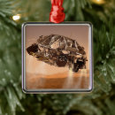 Search for descendants christmas tree decorations Lander