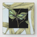 Search for with black border art Botanical