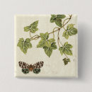 Search for fern leaf badges Ferns