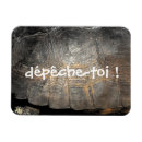 Search for tortoises magnets Tortoise shell