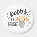 Search for dobby magnets Wizard