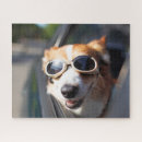 Search for baby animal puzzles Canine