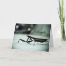 Search for macro photography cards Insects