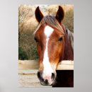 Search for horse posters Farm animal