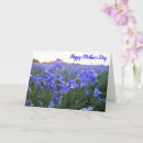 Search for sunset mothers day cards Nature