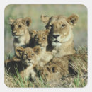 Search for okavango delta stickers Horizontal