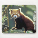 Search for red panda mousepads Baby