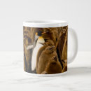 Search for baby penguin mugs Animals in the wild