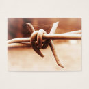 Search for aceo Photography