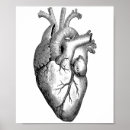 Search for anatomical heart art Vintage