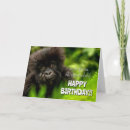 Search for mountain gorillas postcards Birthday