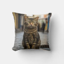 Search for amidst Cat