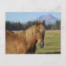 Search for horse postcards Oregon