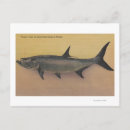 Search for tarpon postcards States