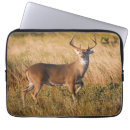 Search for grassland cases Texas