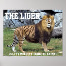 Search for much posters Animal