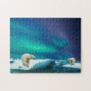 Search for aurora borealis puzzles Scenic