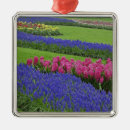 Search for bloom christmas tree decorations Green
