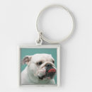 Search for surface key rings Animals