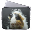 Search for guinea pig electronics Cute