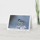 Search for tits cards Winter