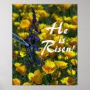 Search for jesus is risen posters Flowers