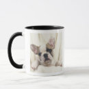Search for english bulldog mugs Animal