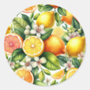Search for citrus pattern stickers Green leaves