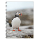 Search for puffin notebooks Nature