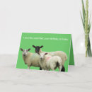 Search for funny sheep birthday cards Pun