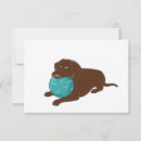 Search for chewing cards Dog