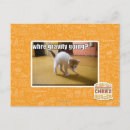 Search for graviti postcards I can has cheezburger