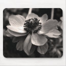 Search for windflowers mousepads Green