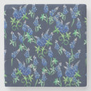 Search for texas bluebonnet Pattern