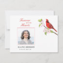 Search for cardinal thank you cards Watercolor