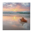 Search for beach shells tiles Coast