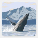 Search for vintage whale stickers Alaska