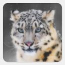 Search for leopard spot stickers Wild cat
