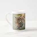 Search for wildcats mugs Big cats
