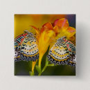 Search for tropical butterflies badges Wildlife