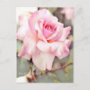 Search for michele postcards Rose