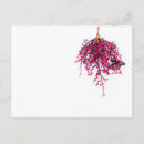 Search for pod postcards Pink