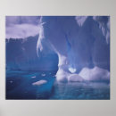 Search for antarctic posters Frozen