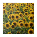 Search for summer sunflower tiles Garden