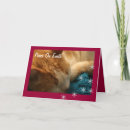 Search for orange tabby cat christmas cards Pets