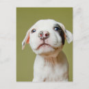 Search for terrier puppy postcards No people