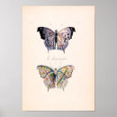 Search for colourful insect posters Antique