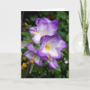 Search for freesias cards Flowers